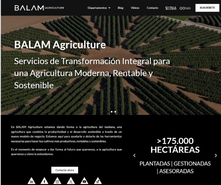 balam web